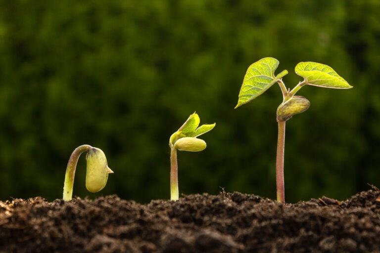 What Amazon Success Looks Like at Different Stages of Growth